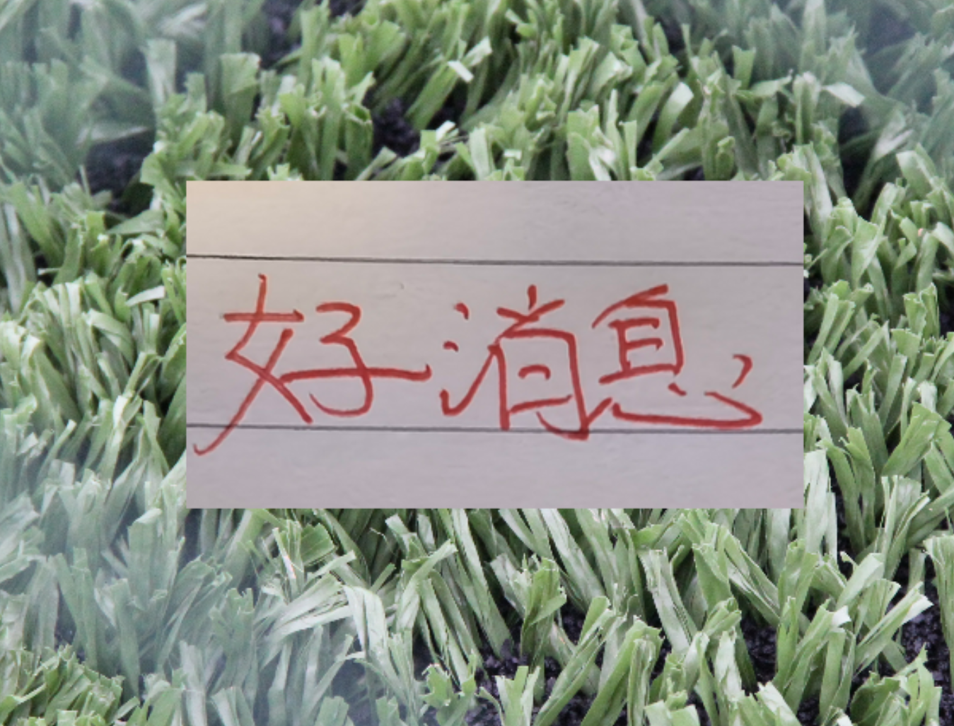 2026世界杯投注app下载-也是好消息！申花单场独造三球王牌 很有可能第四轮复出
